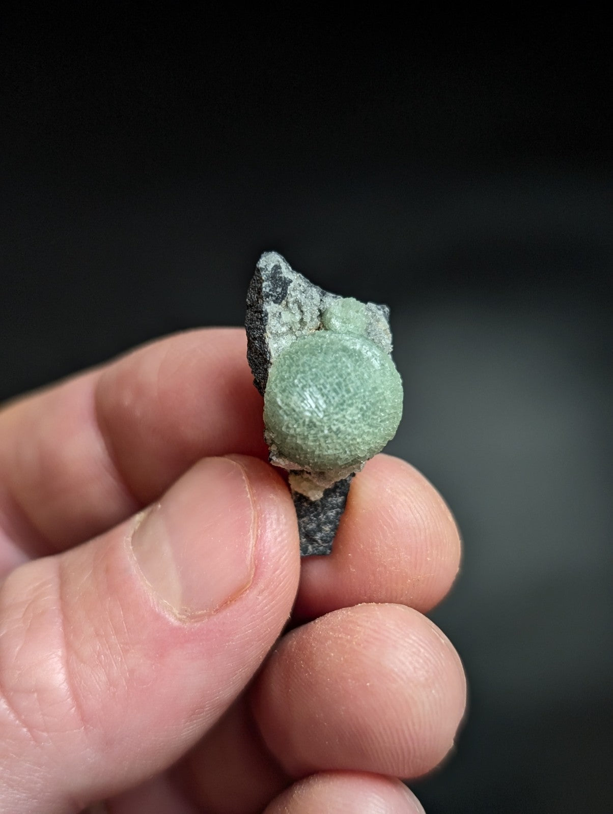 A smooth, round green mineral specimen nestled in a dark gray rock matrix.