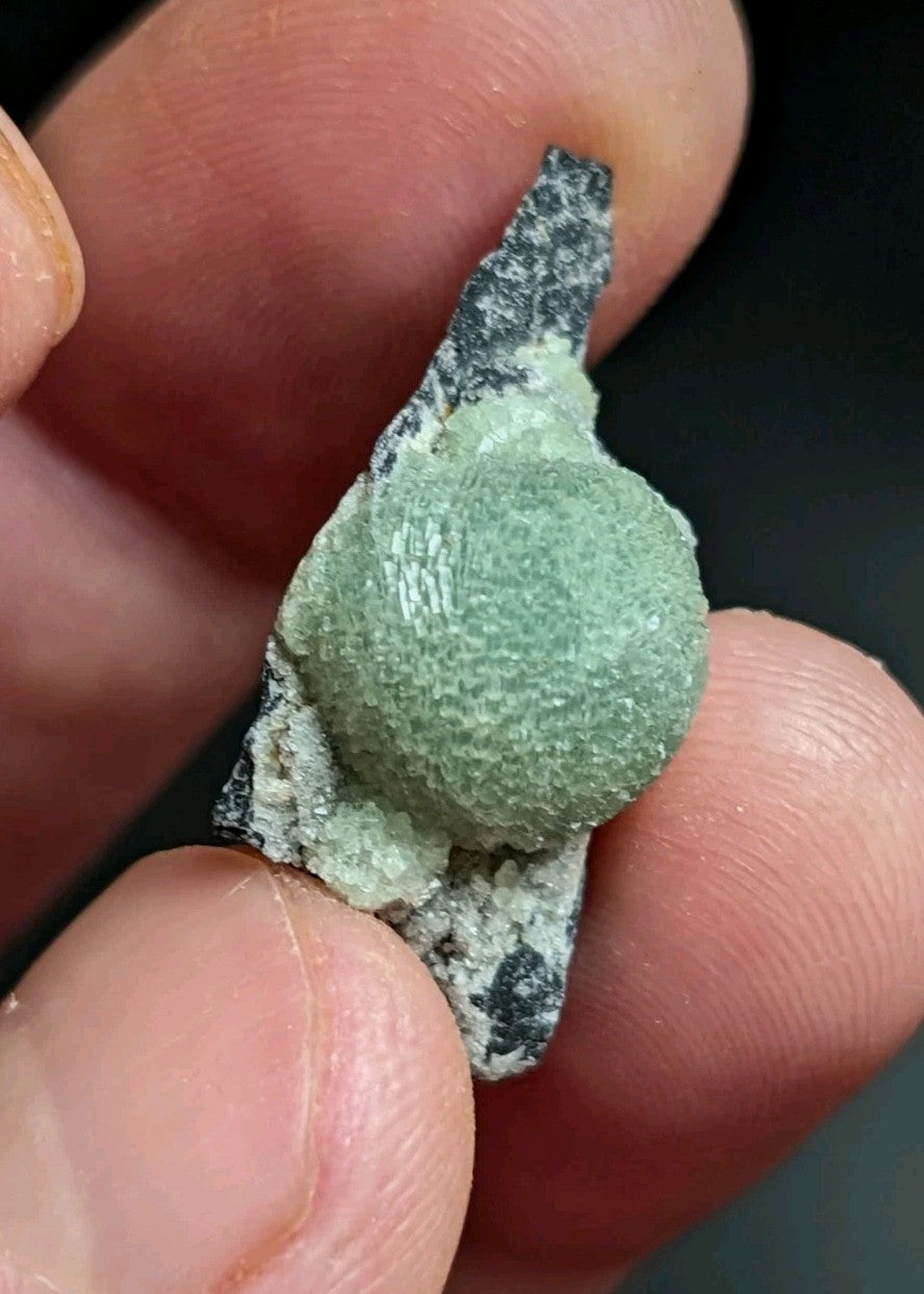 A green, textured mineral specimen with a rounded, mossy surface and dark speckled base.