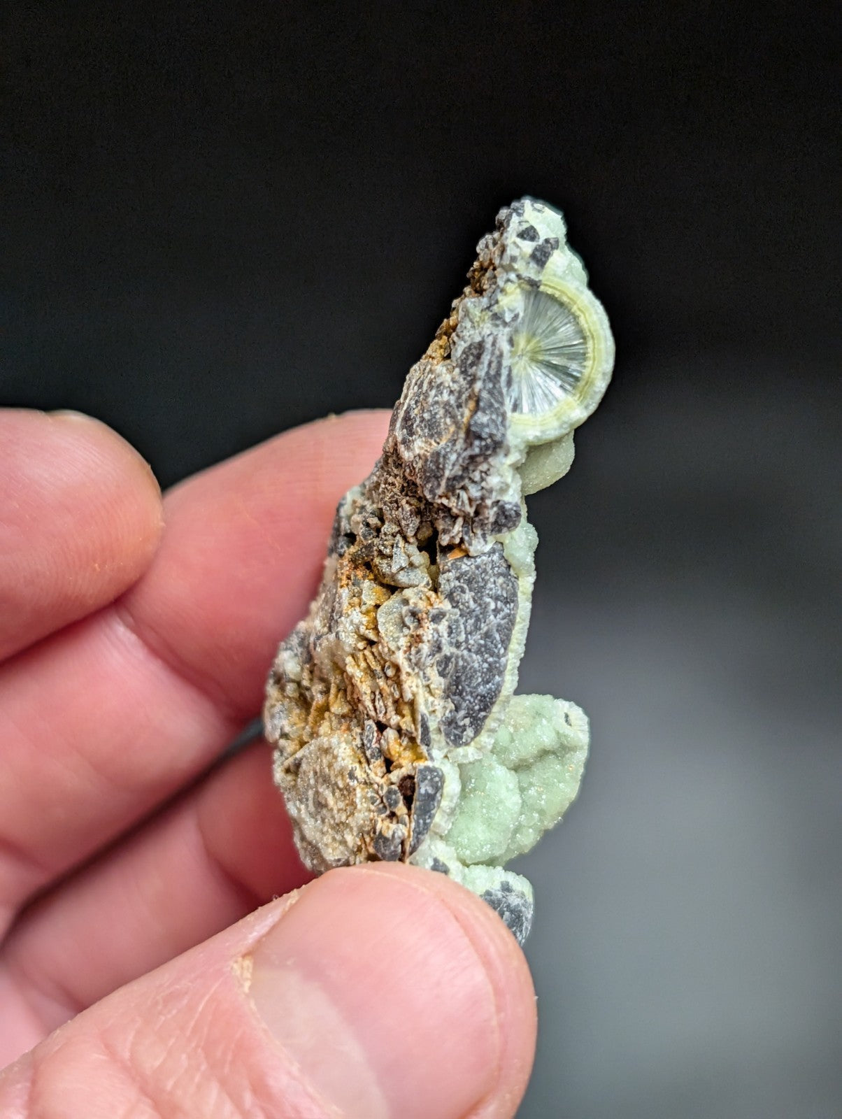 A textured, moss-covered rock with a pale green and grayish surface featuring patches of orange-brown lichen.