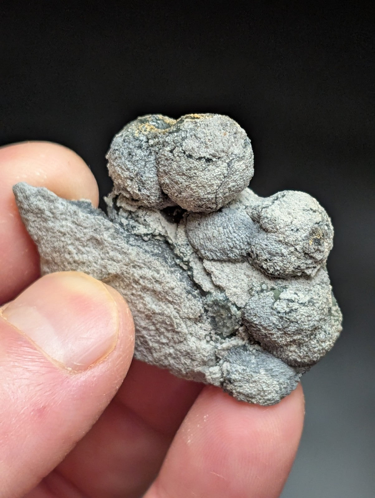 A gray, textured mineral specimen with rounded nodules and a rough surface.