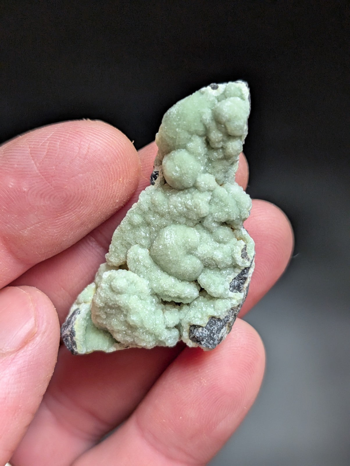 A pale green, textured mineral specimen with rounded nodules and dark gray matrix.