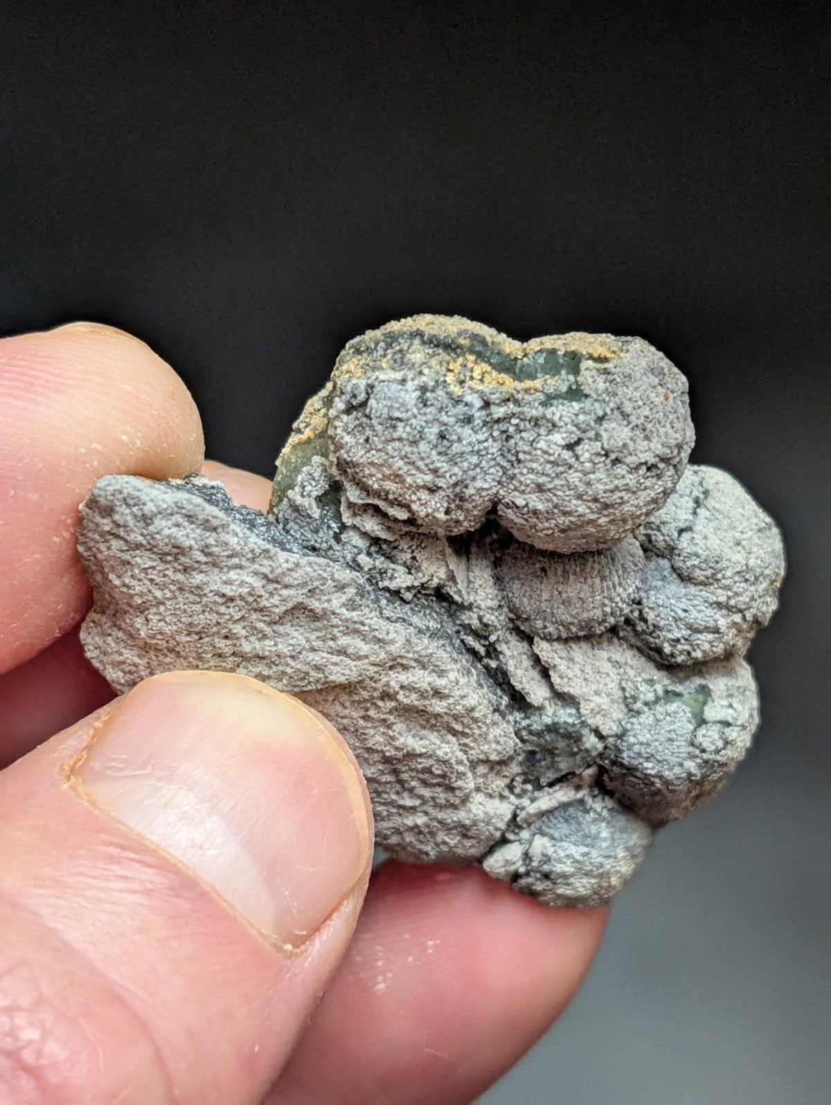 A textured, grayish-green mineral specimen with rounded nodules and a rough surface.
