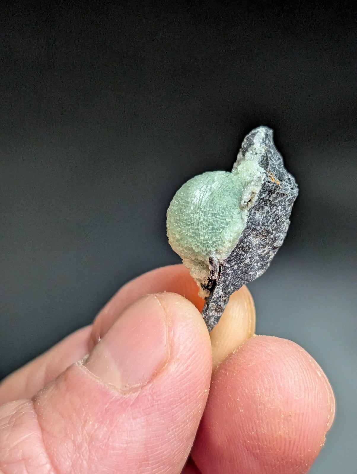 A small, round, light green mineral specimen with a textured surface nestled in a dark gray rock matrix.