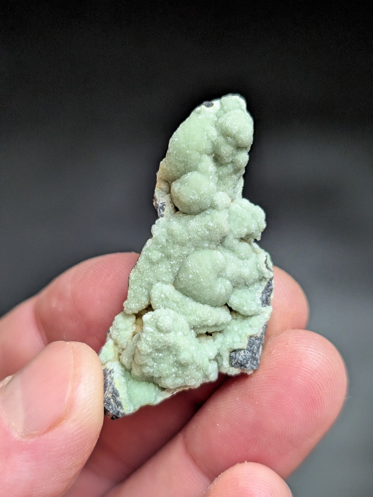 A pale green, textured mineral specimen with rounded nodules and dark gray matrix.