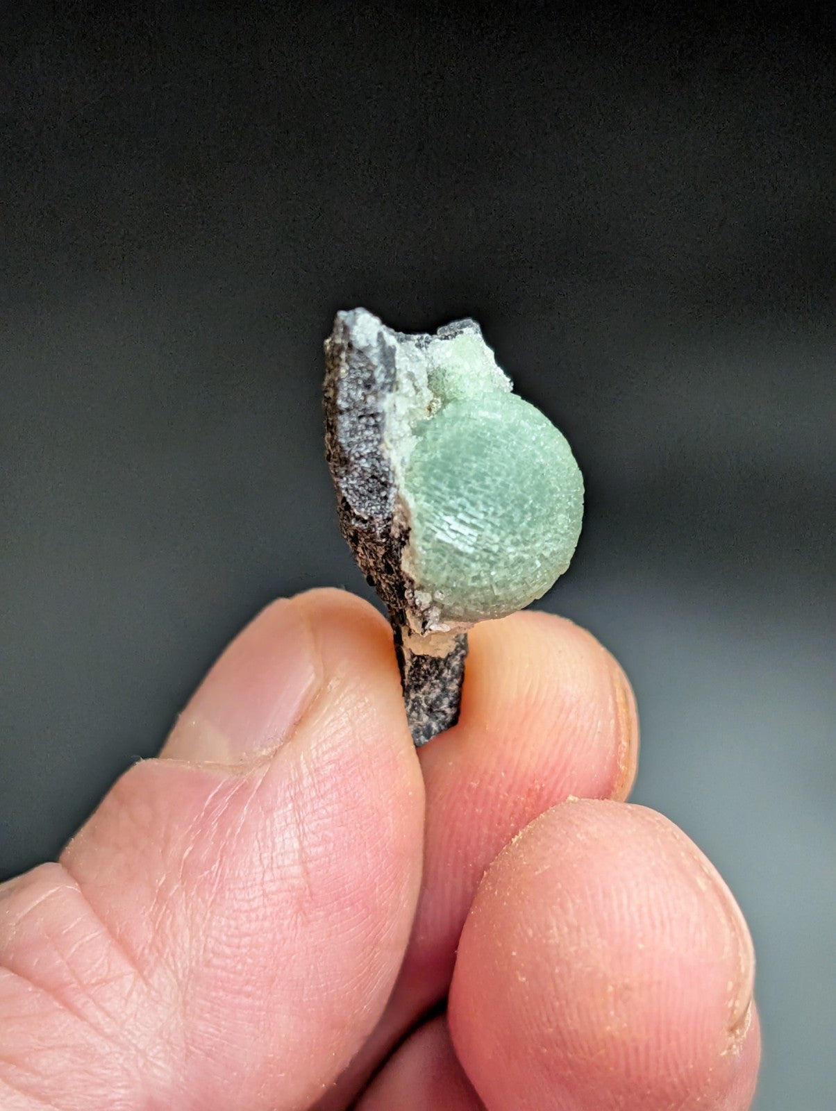 A smooth, light green mineral specimen with a rounded, polished surface nestled within dark, rough-textured rock.