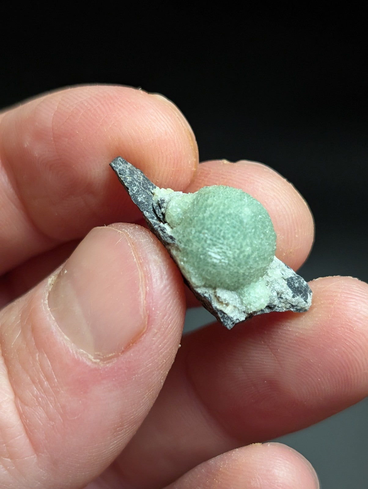 A small, round, light green mineral specimen with a rough, textured surface and dark gray rock matrix.