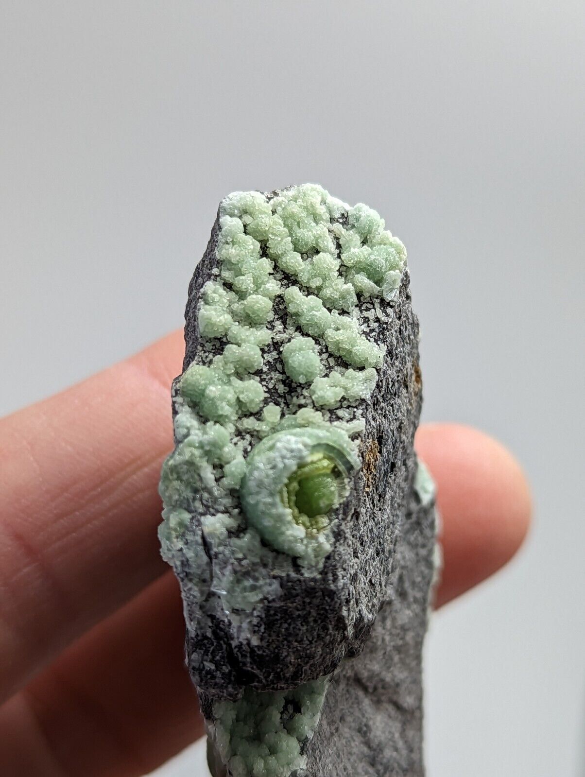 Wavellite - Mauldin Mountain Montgomery County Arkansas - Collectibles:Rocks Fossils & Minerals:Crystals Mineral