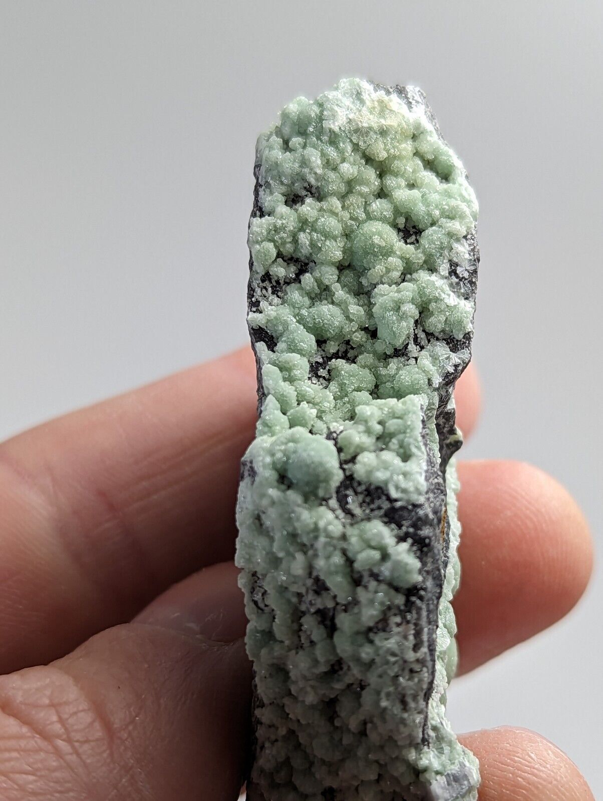 Wavellite - Mauldin Mountain Montgomery County Arkansas - Collectibles:Rocks Fossils & Minerals:Crystals Mineral