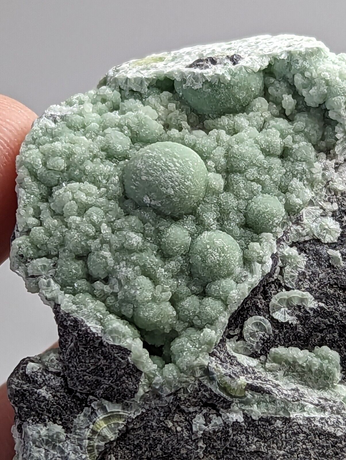 Wavellite - Mauldin Mountain Montgomery County Arkansas - Collectibles:Rocks Fossils & Minerals:Crystals Mineral