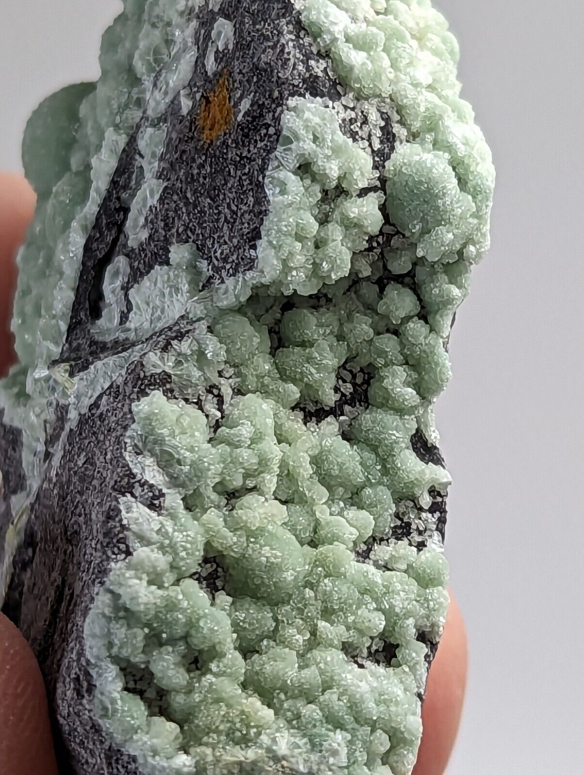 Wavellite - Mauldin Mountain Montgomery County Arkansas - Collectibles:Rocks Fossils & Minerals:Crystals Mineral