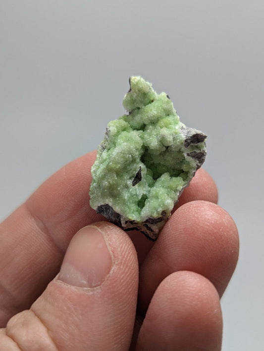 A hand holds a small, light green mineral specimen with crystalline formations and dark gray matrix.