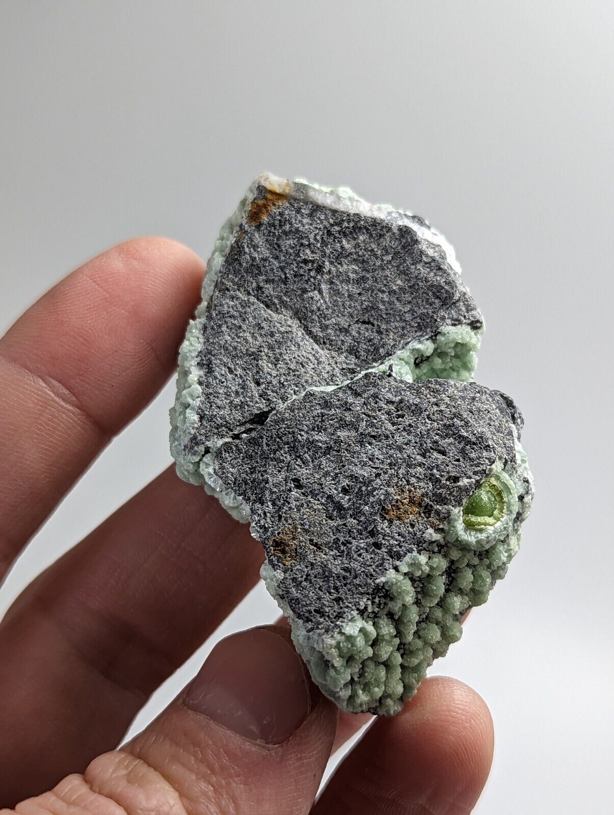 Wavellite - Mauldin Mountain Montgomery County Arkansas - Collectibles:Rocks Fossils & Minerals:Crystals Mineral
