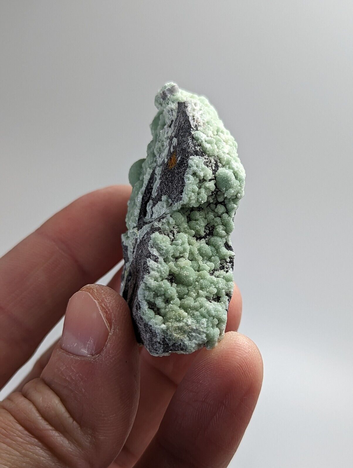 Wavellite - Mauldin Mountain Montgomery County Arkansas - Collectibles:Rocks Fossils & Minerals:Crystals Mineral