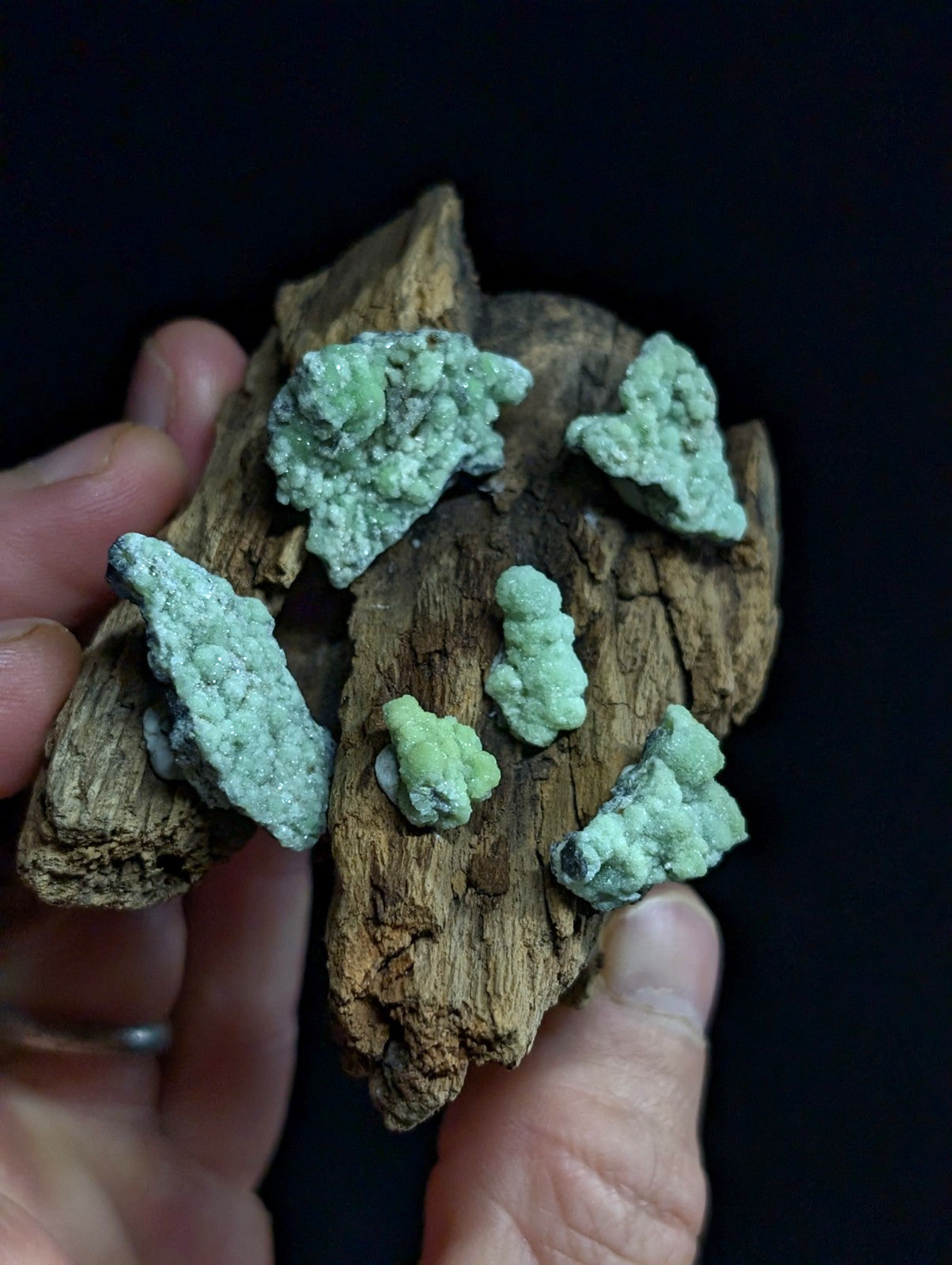 Hand holding a piece of weathered driftwood with several light green, crystalline mineral formations attached to its surface.