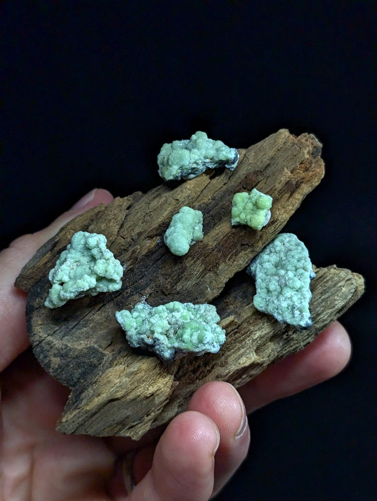 A hand holds a piece of dark, textured wood with several small, light green, crystalline mineral formations clustered on its surface.