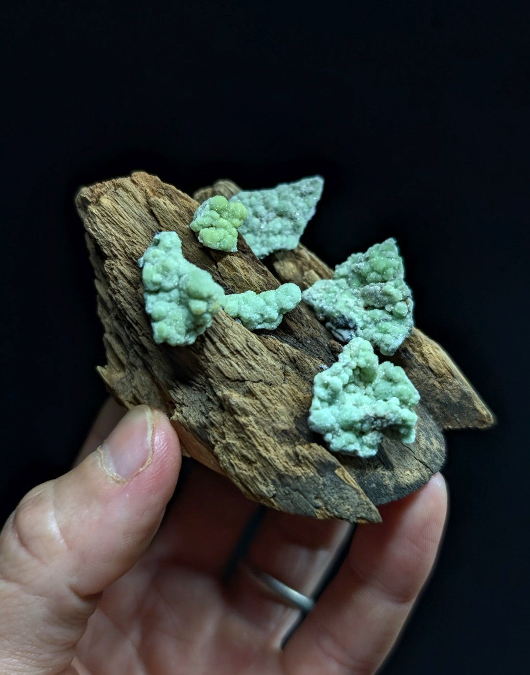 A hand holds a piece of weathered, brown driftwood adorned with clusters of vibrant green mineral formations.
