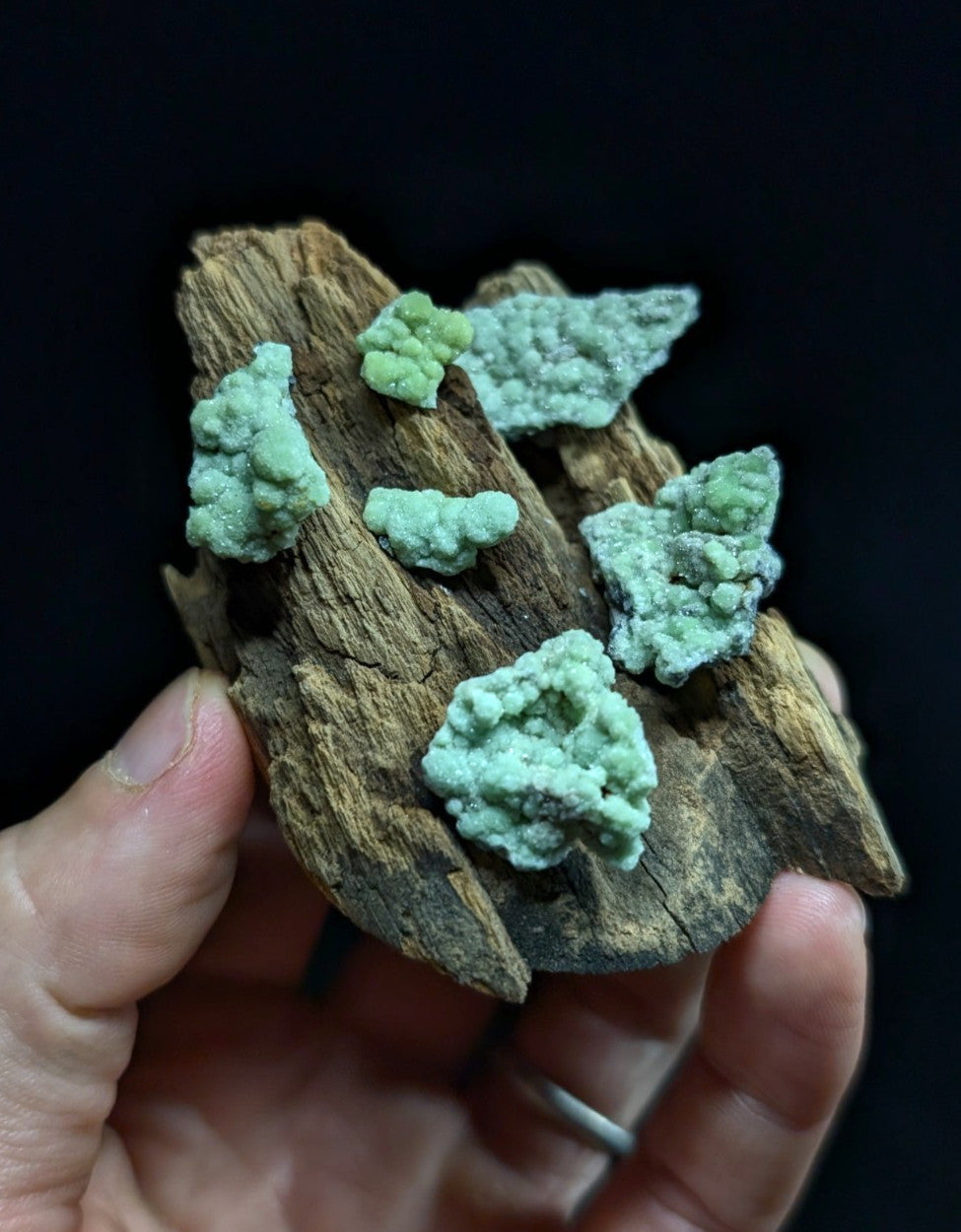 A hand holds a piece of dark, textured driftwood adorned with several clusters of vibrant green mineral formations.