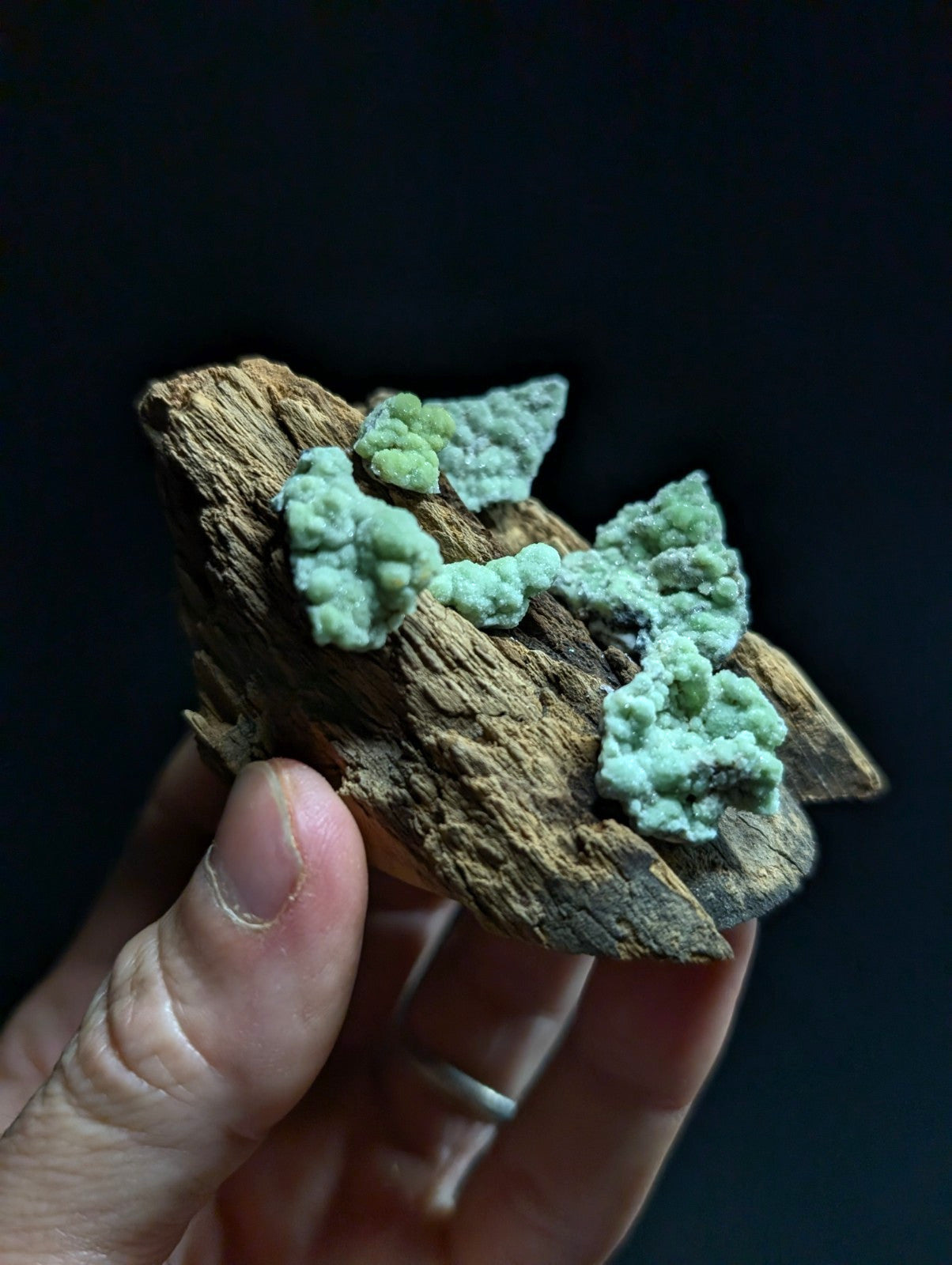 A hand holds a piece of weathered, brown wood with vibrant green moss growing in clumpy patches across its surface.