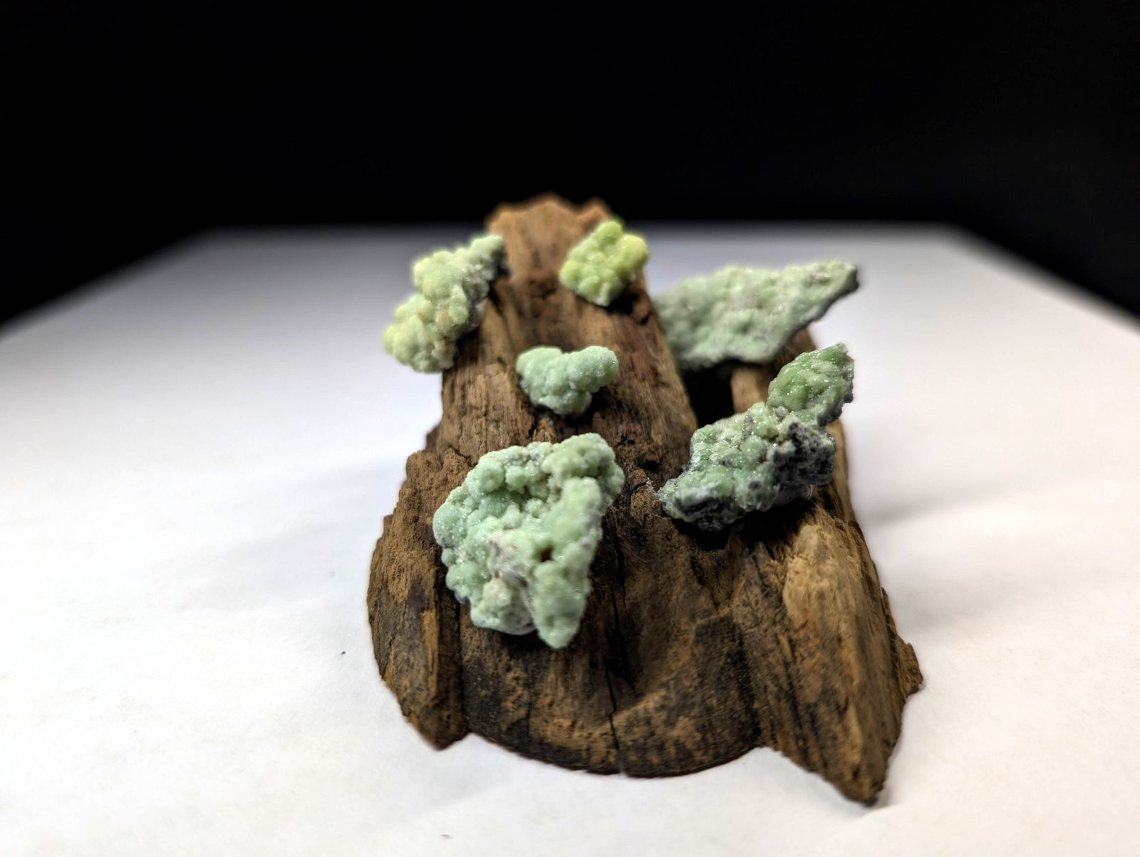 A rustic brown wooden log adorned with clusters of light green, textured mineral formations.