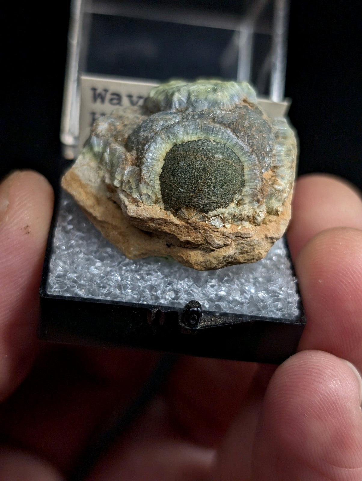A green, eye-like mineral specimen with concentric rings and a rough, rocky exterior.
