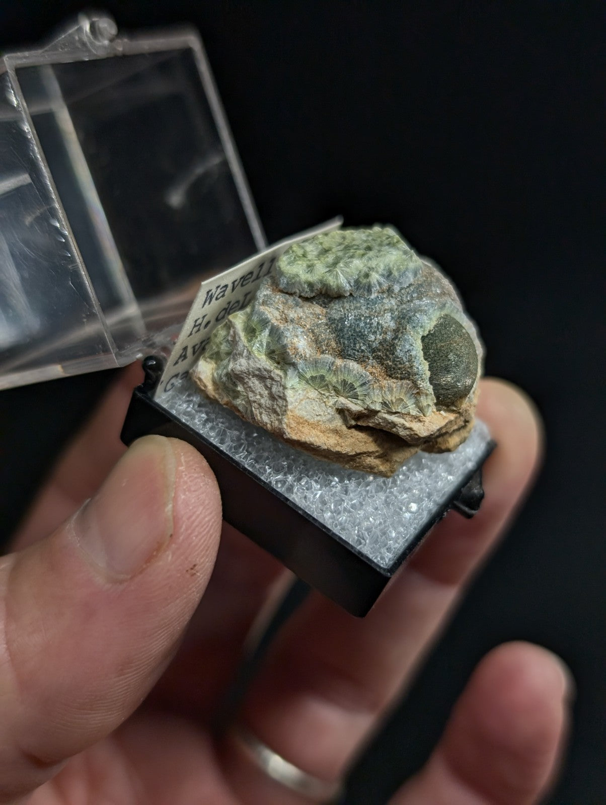 A green and gray mineral specimen with a rough, textured surface is displayed in a clear plastic case.