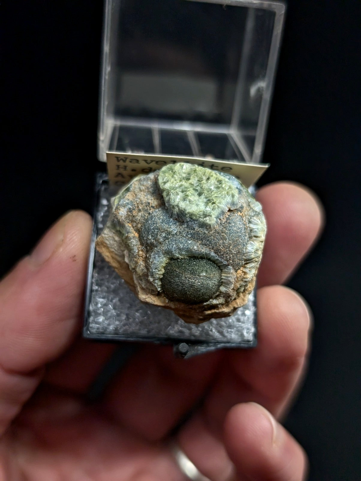 A green and gray waveite mineral specimen nestled in a clear plastic display case.