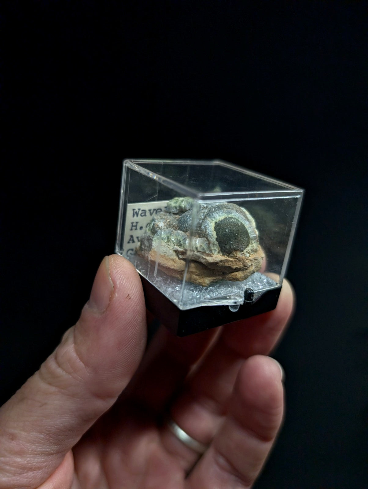 A green and brown fossilized ammonite specimen displayed in a clear acrylic cube with a black base.