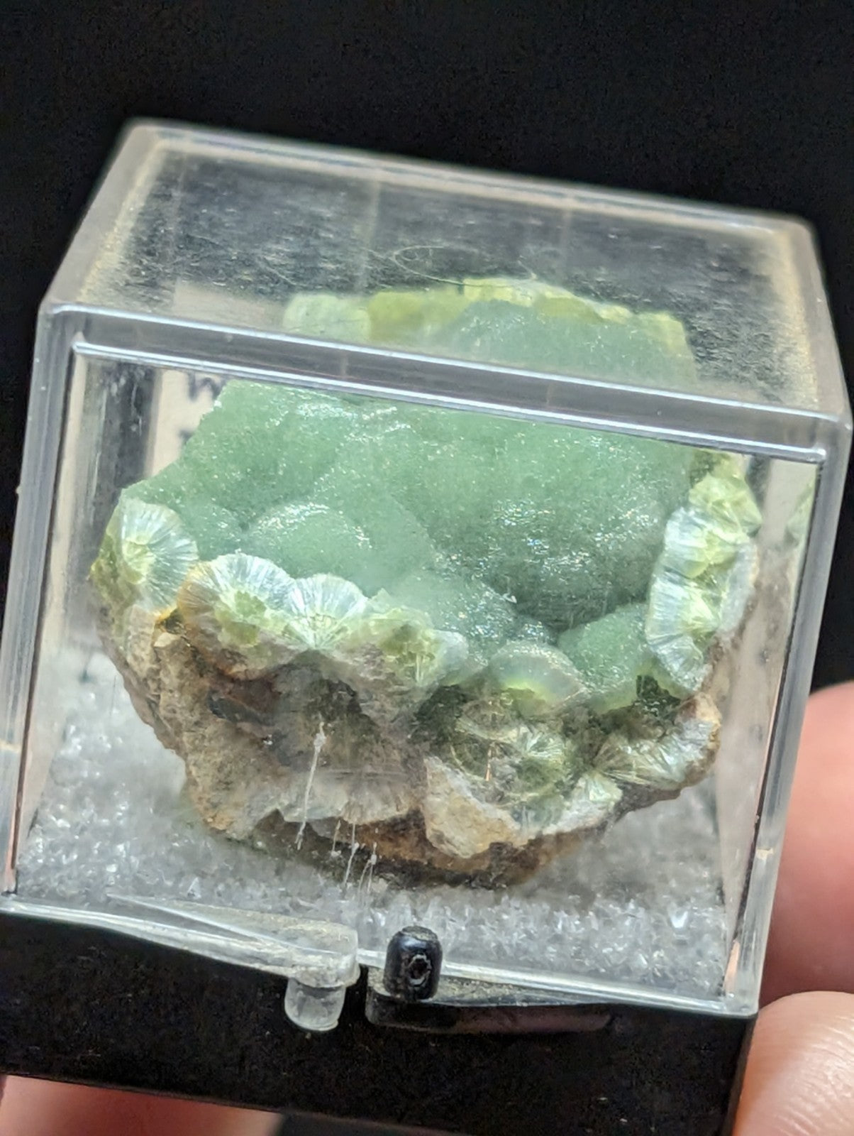 A translucent green mineral specimen with intricate, fan-like crystalline formations displayed in a clear acrylic display case.
