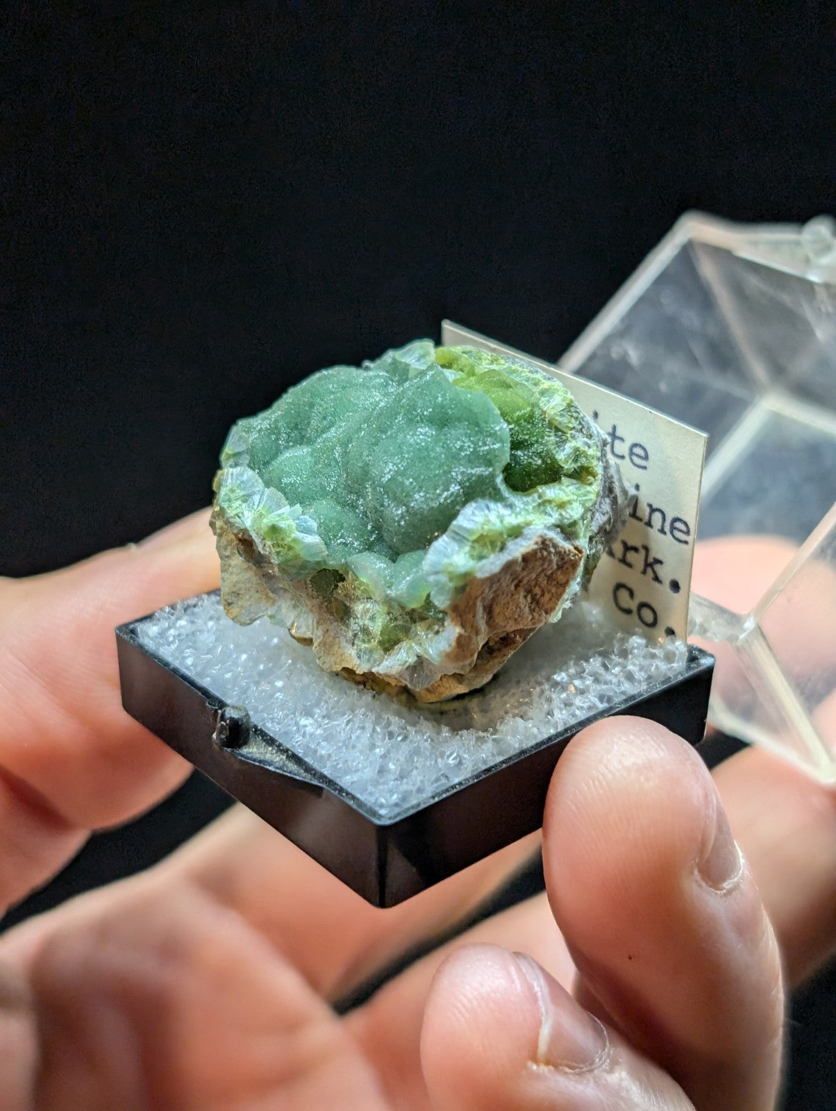 A translucent green mineral specimen with a crystalline, textured surface and earthy brown base, displayed in a black rectangular display case.