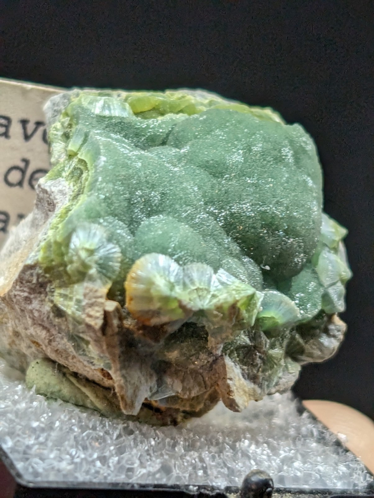 A vibrant green, translucent mineral specimen with intricate, fan-like crystalline formations and a rough-textured base.