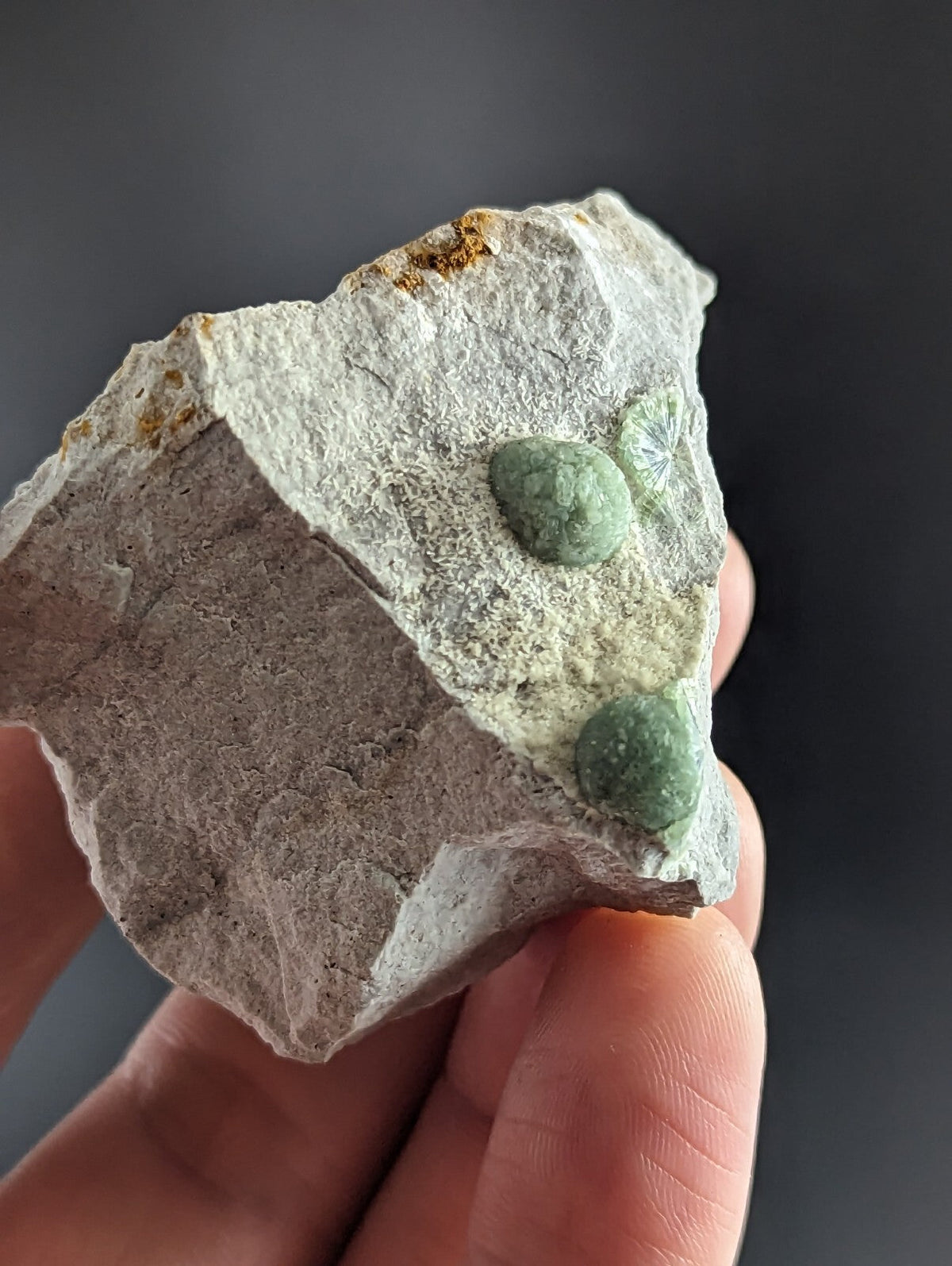 A hand holds a light gray, rough-textured rock specimen featuring two small, smooth, greenish-blue rounded formations embedded in its surface.