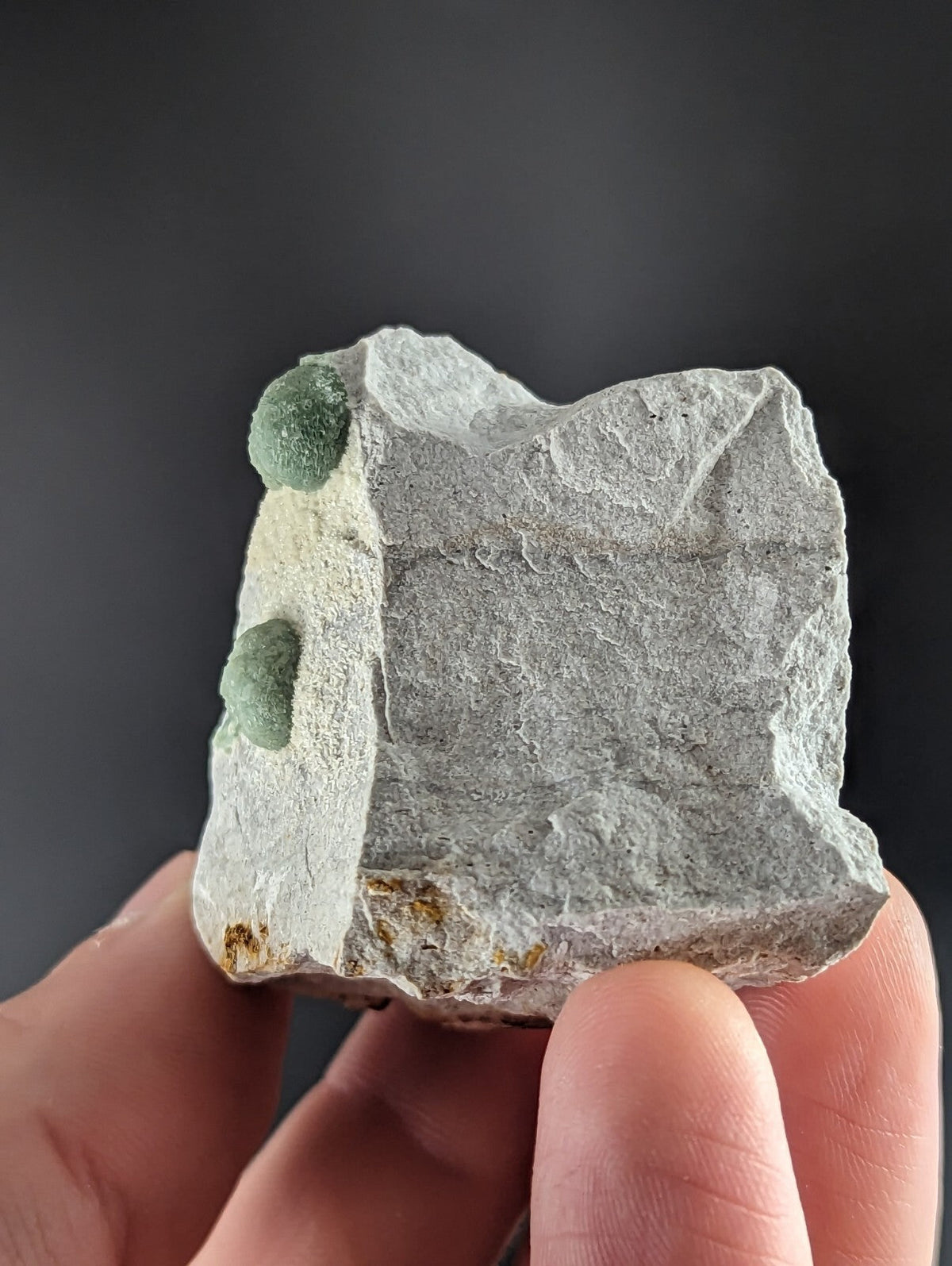 A gray rock specimen featuring two small, round green moss-like growths on its surface.
