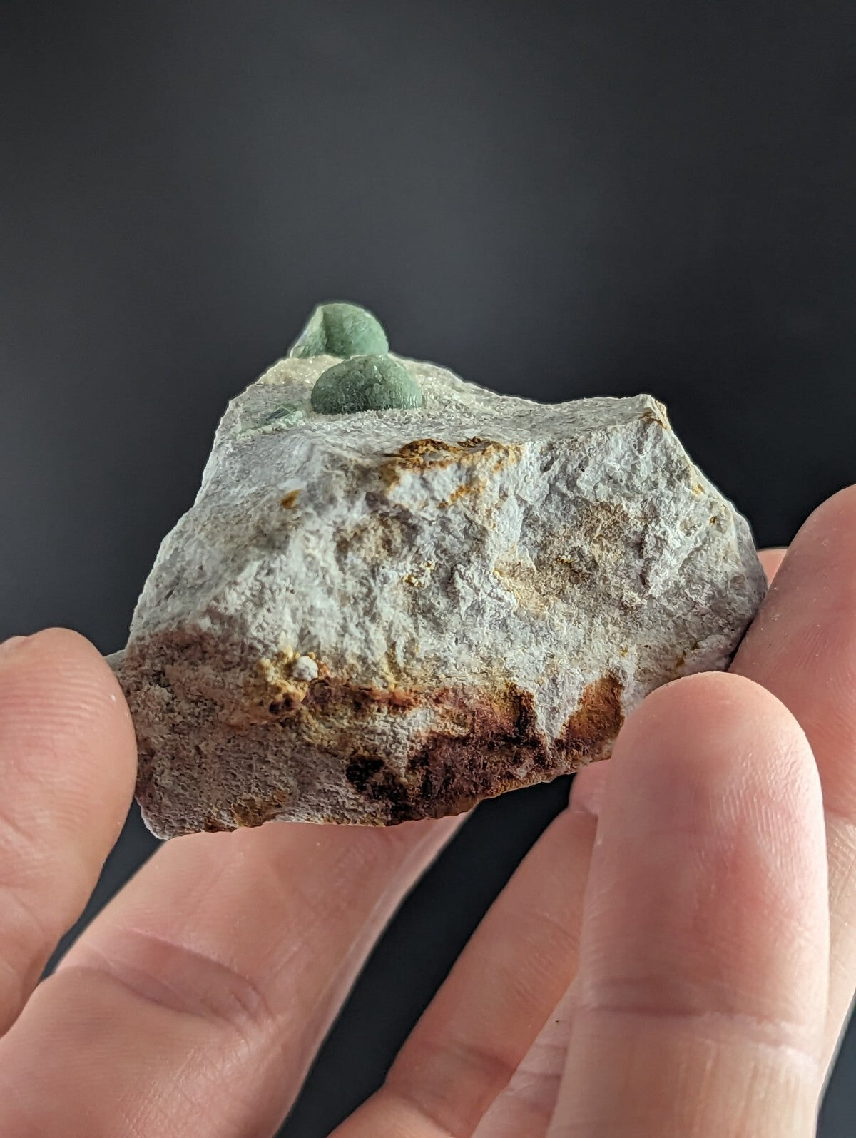 A rough, grayish rock with patches of rust-colored mineral and two small green mossy growths on top.