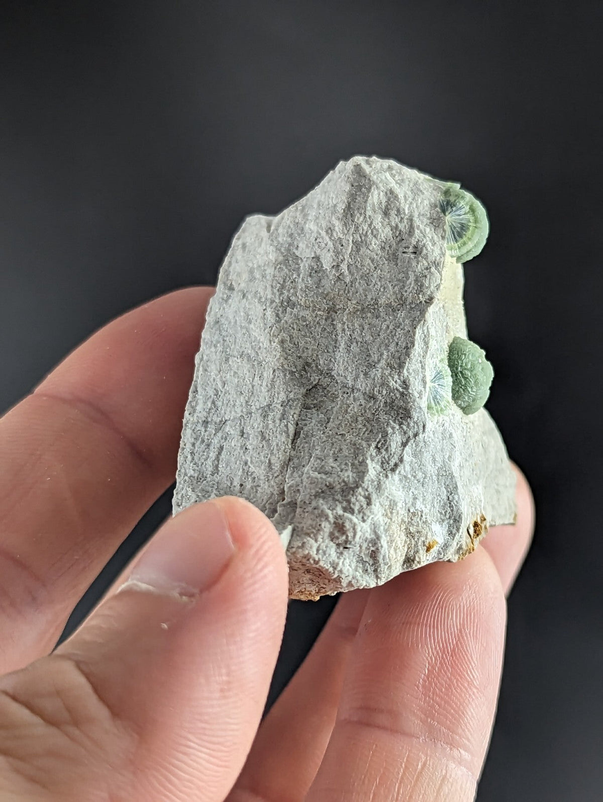 A gray rock specimen featuring two small, round green mineral formations on its surface.
