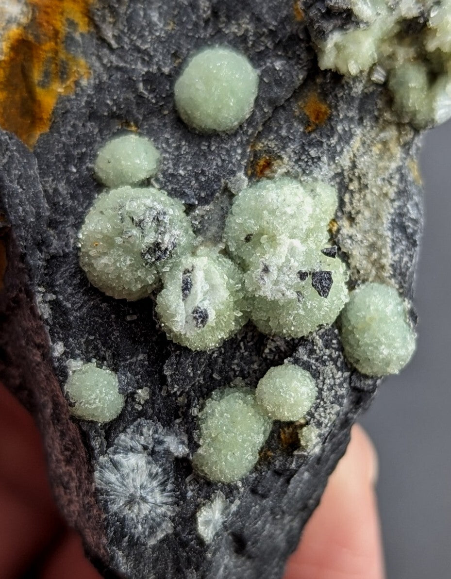 A cluster of translucent, pale green spherical crystals with a crystalline texture grows on a dark gray rock surface.