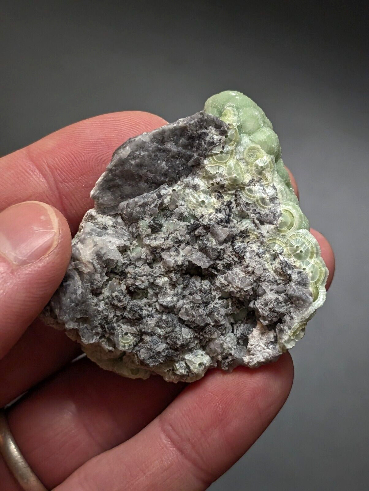 Wavellite -Old Stock - Mauldin Mountain Arkansas - Collectibles:Rocks Fossils & Minerals:Crystals Mineral
