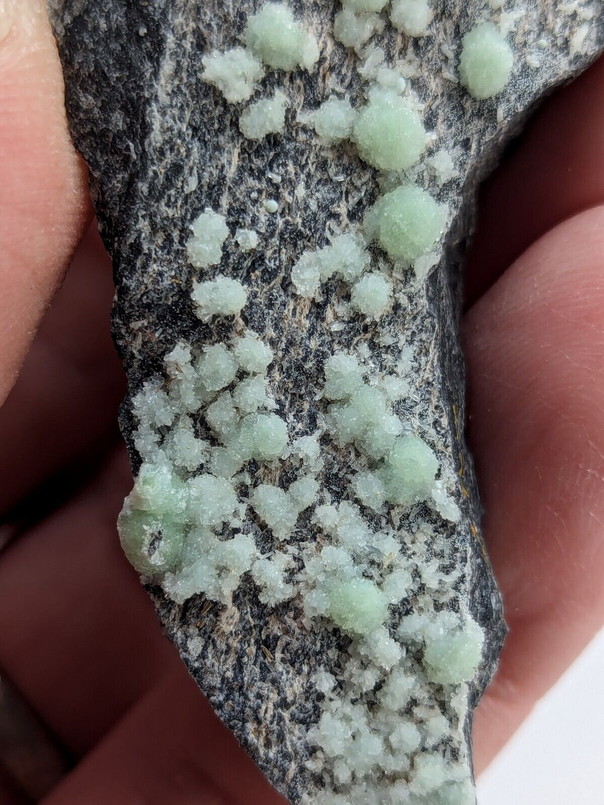 Wavellite -Old Stock - Mauldin Mountain Arkansas - Collectibles:Rocks Fossils & Minerals:Crystals Mineral