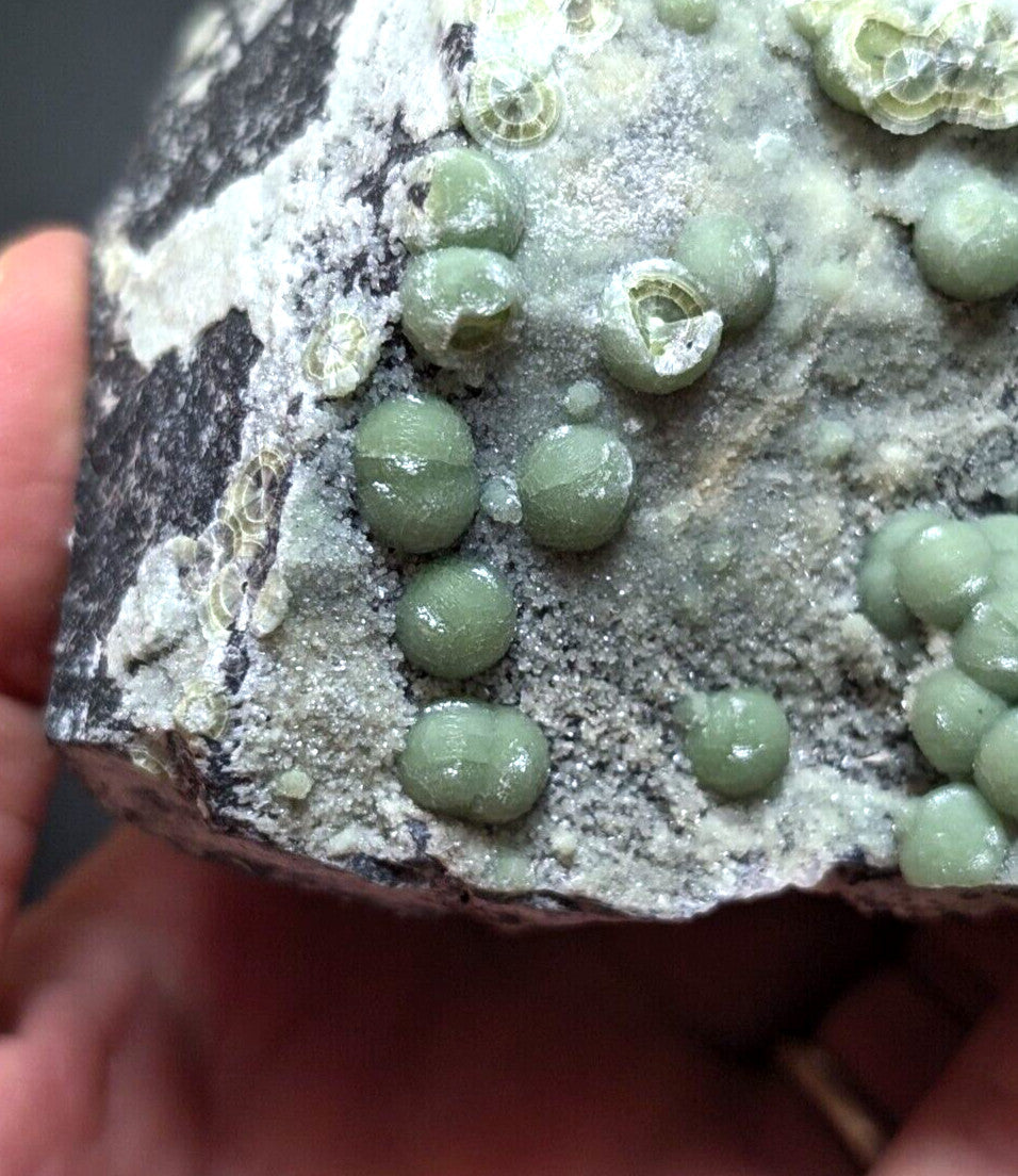 A hand holds a dark gray rock specimen featuring clusters of smooth, translucent green spherical formations with some exhibiting cracked or hollowed centers.
