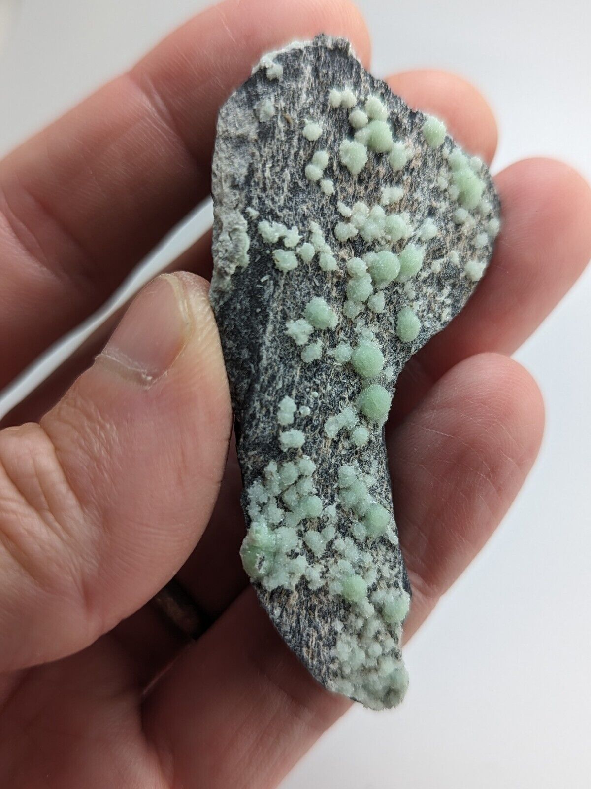 Wavellite -Old Stock - Mauldin Mountain Arkansas - Collectibles:Rocks Fossils & Minerals:Crystals Mineral