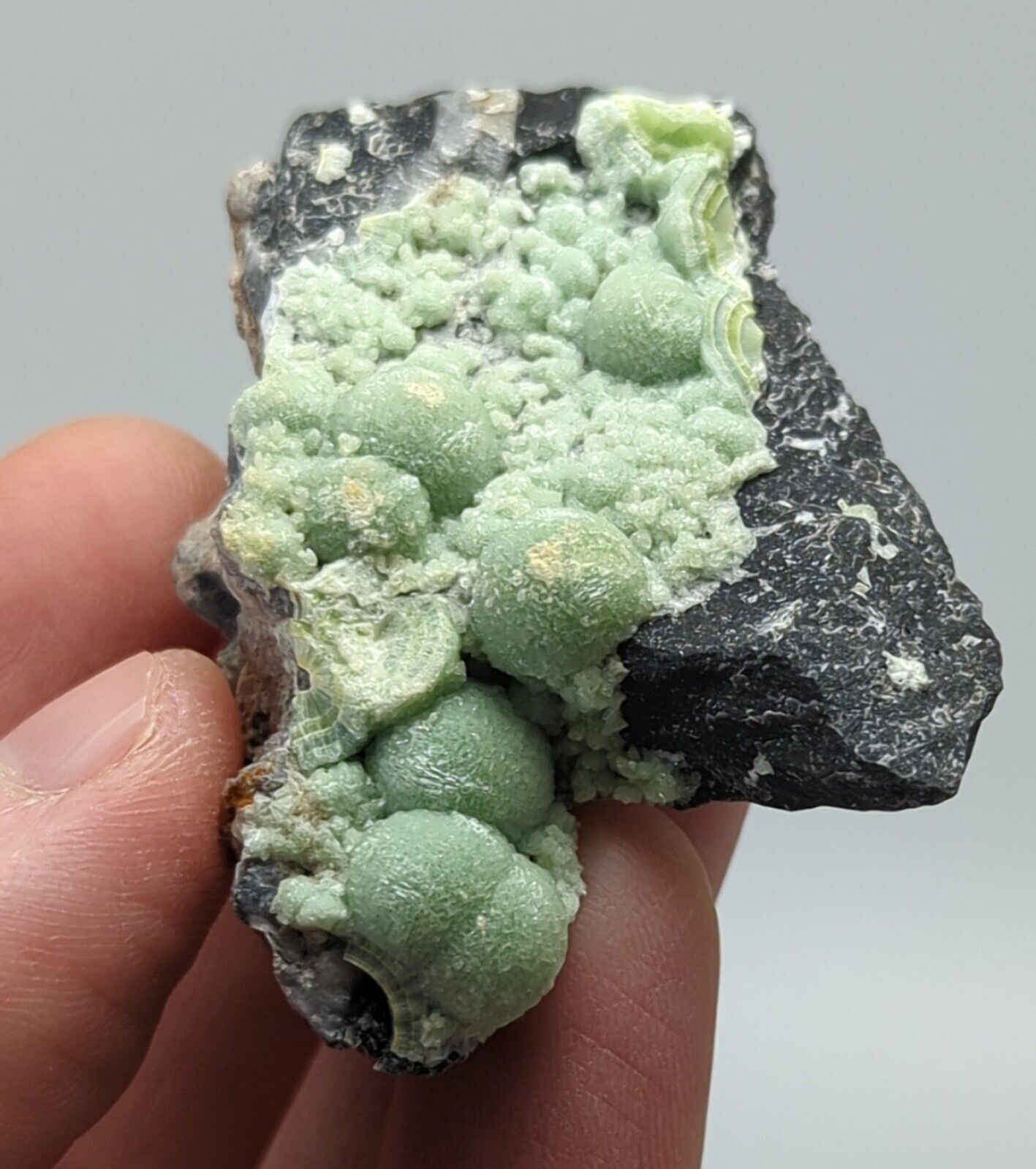 Wavellite -Old Stock - Mauldin Mountain Arkansas - Collectibles:Rocks Fossils & Minerals:Crystals Mineral