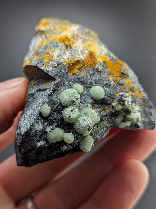 A hand holds a dark gray rock specimen featuring clusters of translucent, light green spherical crystals with patches of vibrant yellow mineral coating.
