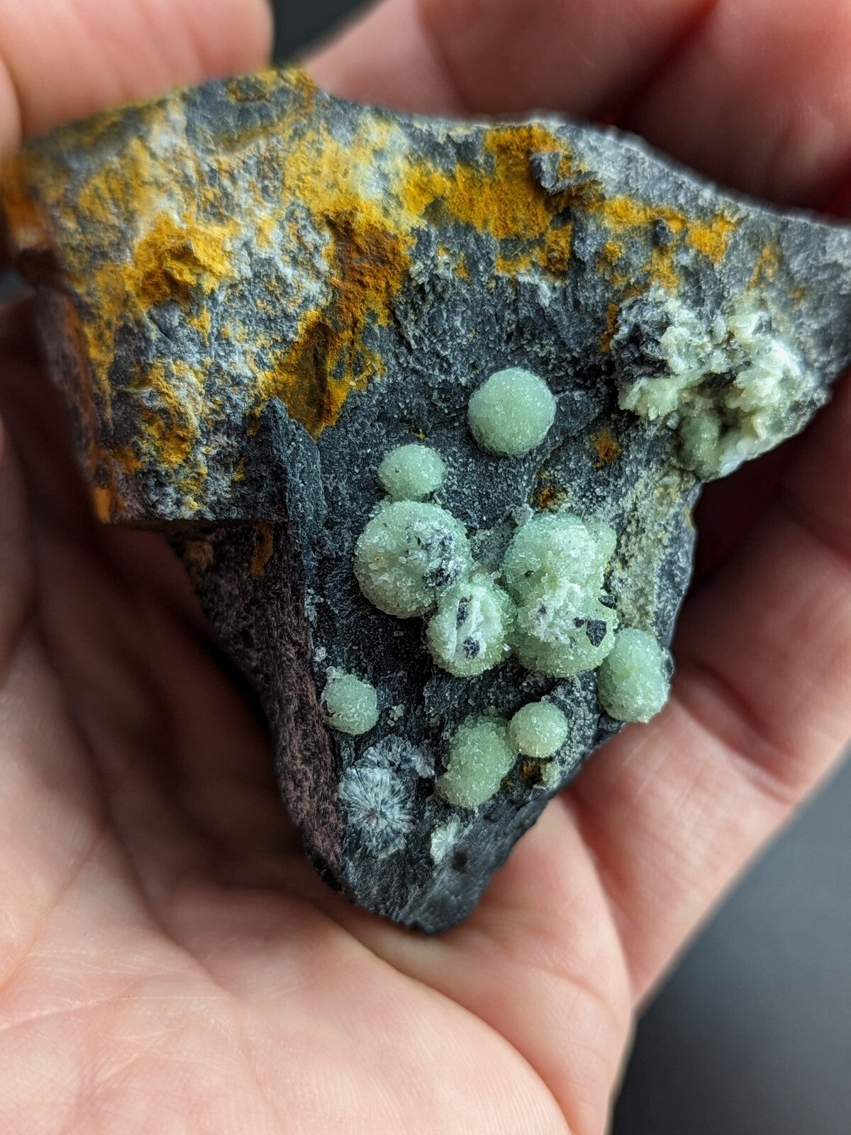 A hand holds a dark gray rock specimen featuring vibrant yellow-orange lichen and clusters of translucent, light green spherical crystals.