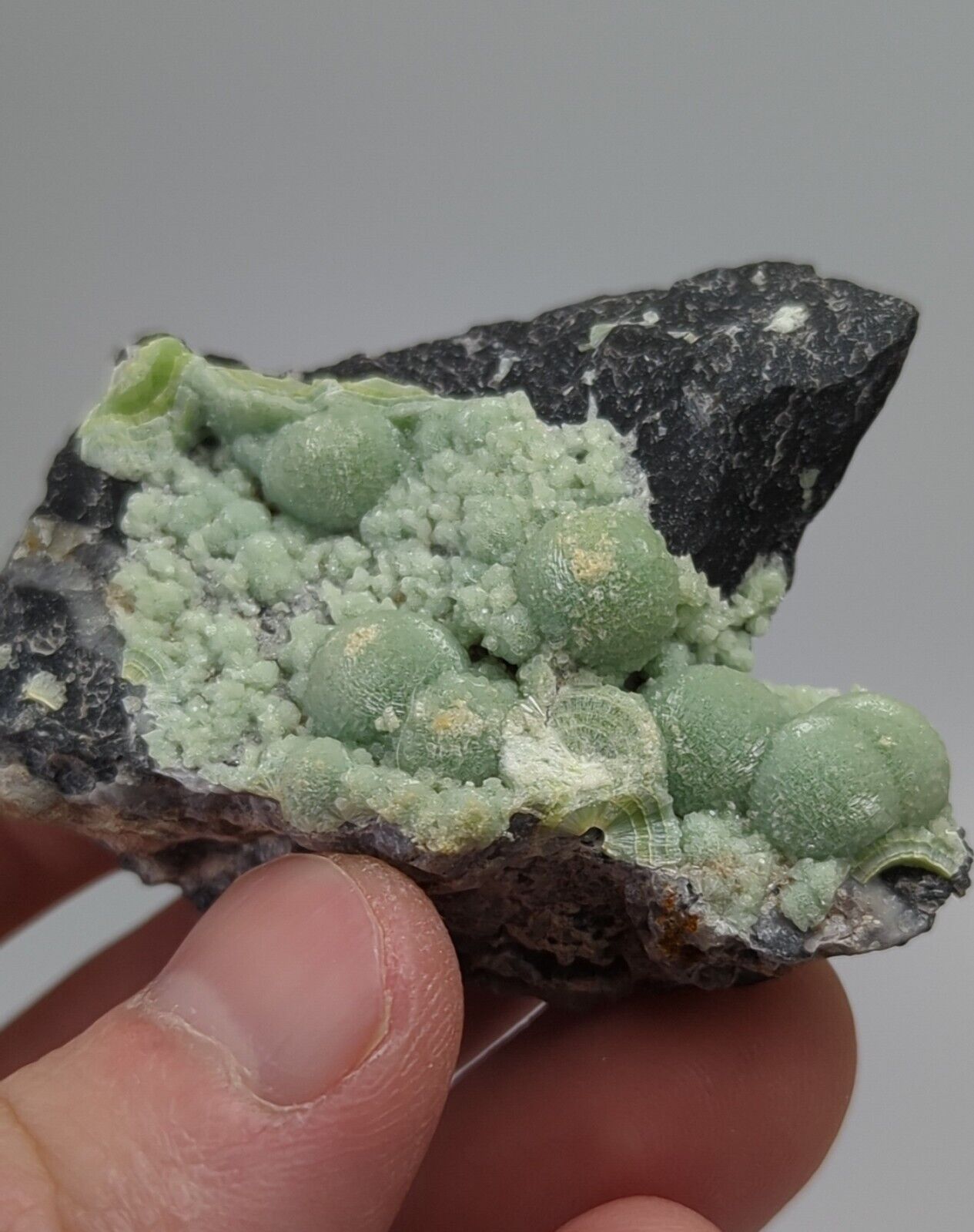 Wavellite -Old Stock - Mauldin Mountain Arkansas - Collectibles:Rocks Fossils & Minerals:Crystals Mineral