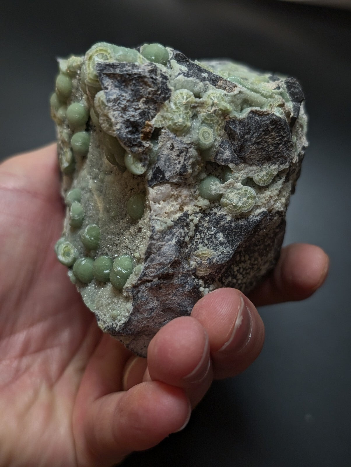 A hand holds a rough, dark gray rock specimen featuring clusters of small, smooth, light green spherical formations.