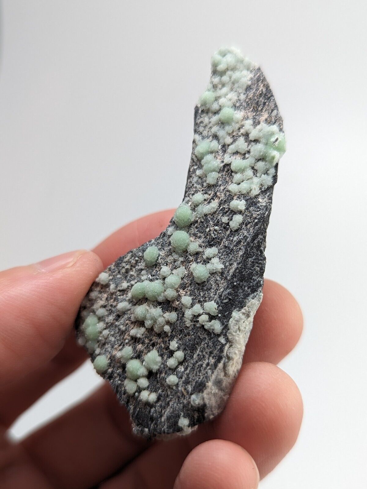 Wavellite -Old Stock - Mauldin Mountain Arkansas - Collectibles:Rocks Fossils & Minerals:Crystals Mineral