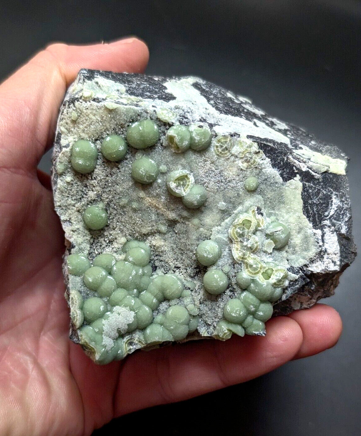 A hand holds a dark, irregularly shaped rock specimen featuring clusters of smooth, light green spherical formations.