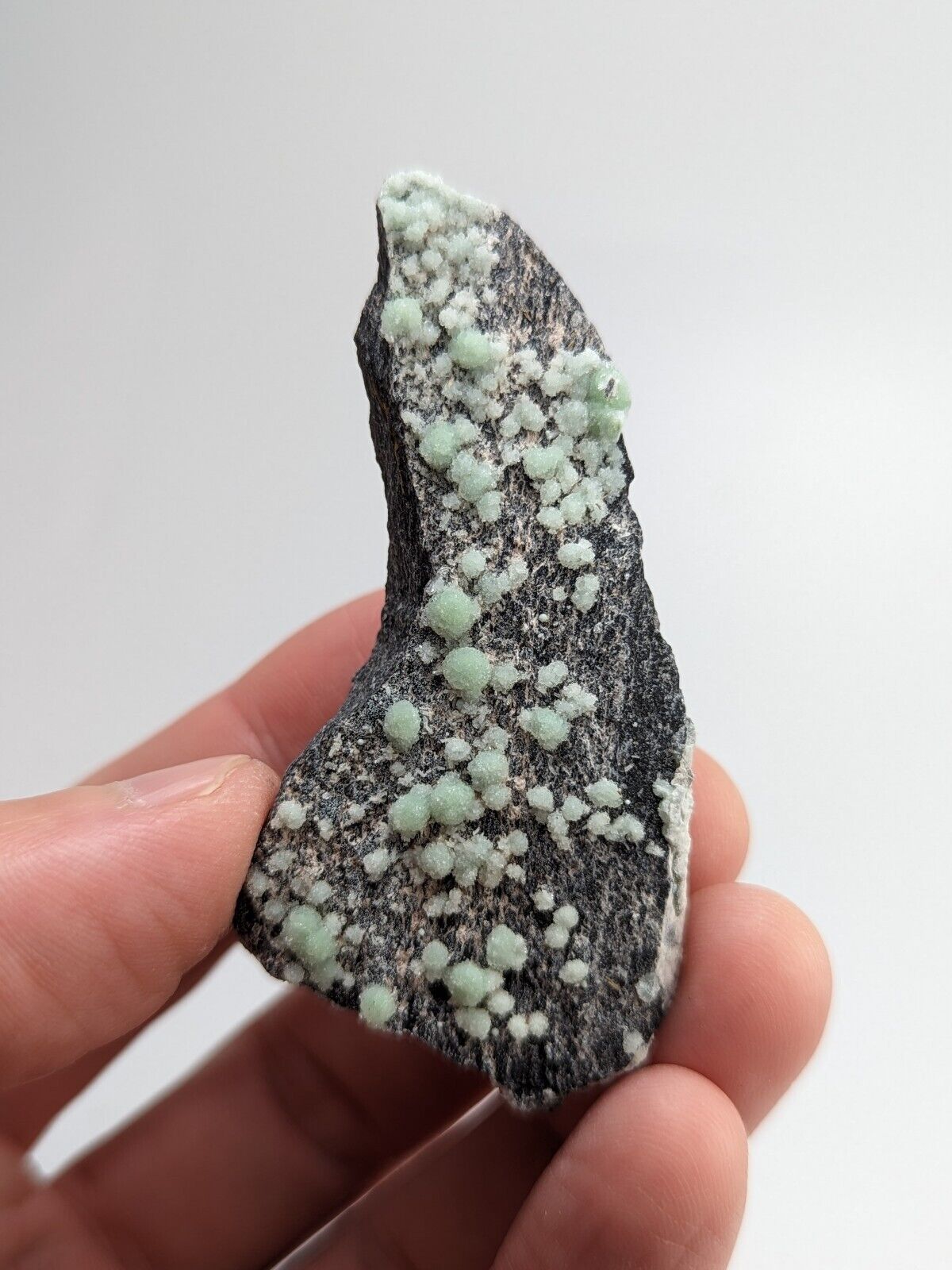 Wavellite -Old Stock - Mauldin Mountain Arkansas - Collectibles:Rocks Fossils & Minerals:Crystals Mineral