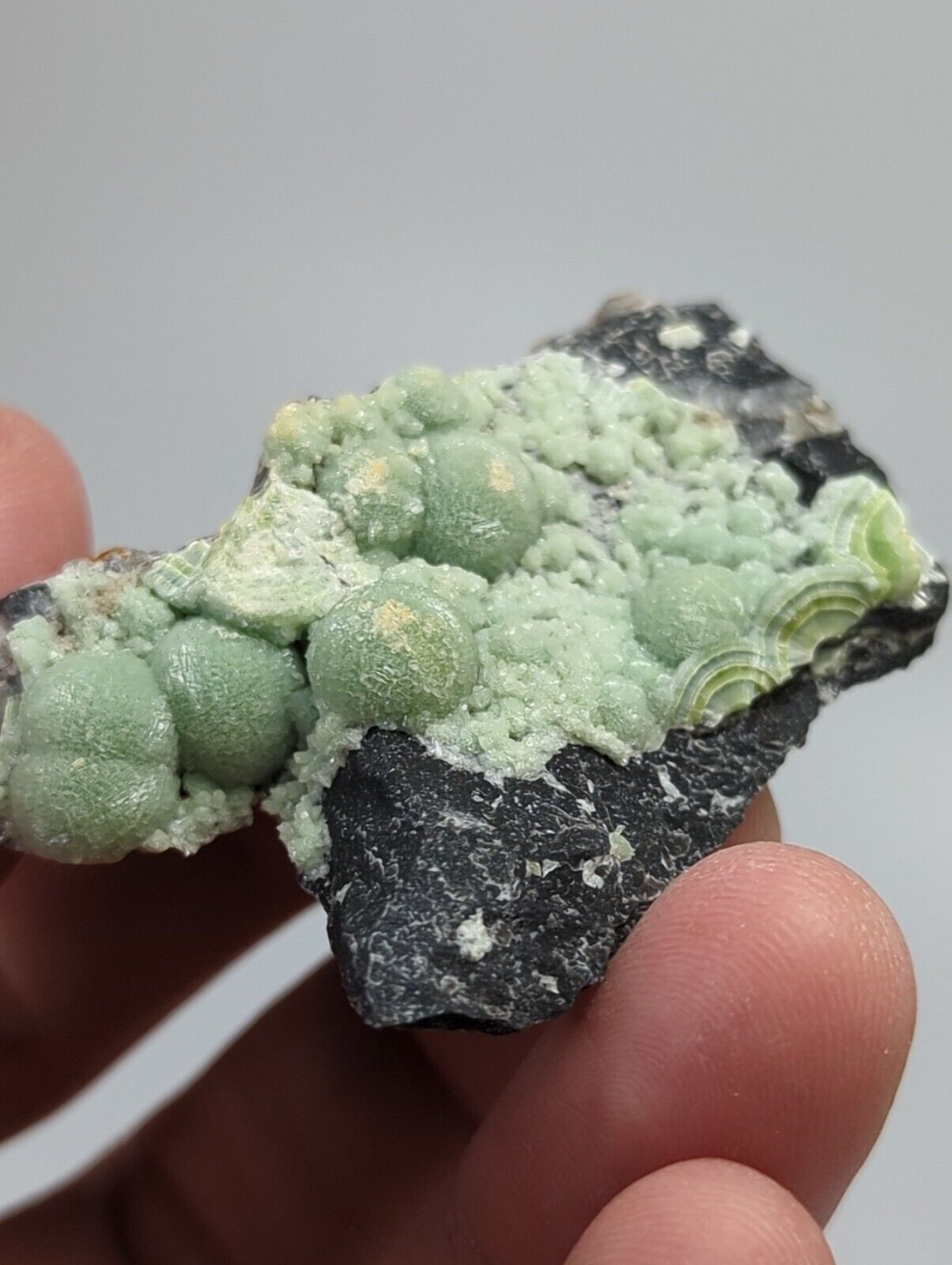 Wavellite -Old Stock - Mauldin Mountain Arkansas - Collectibles:Rocks Fossils & Minerals:Crystals Mineral