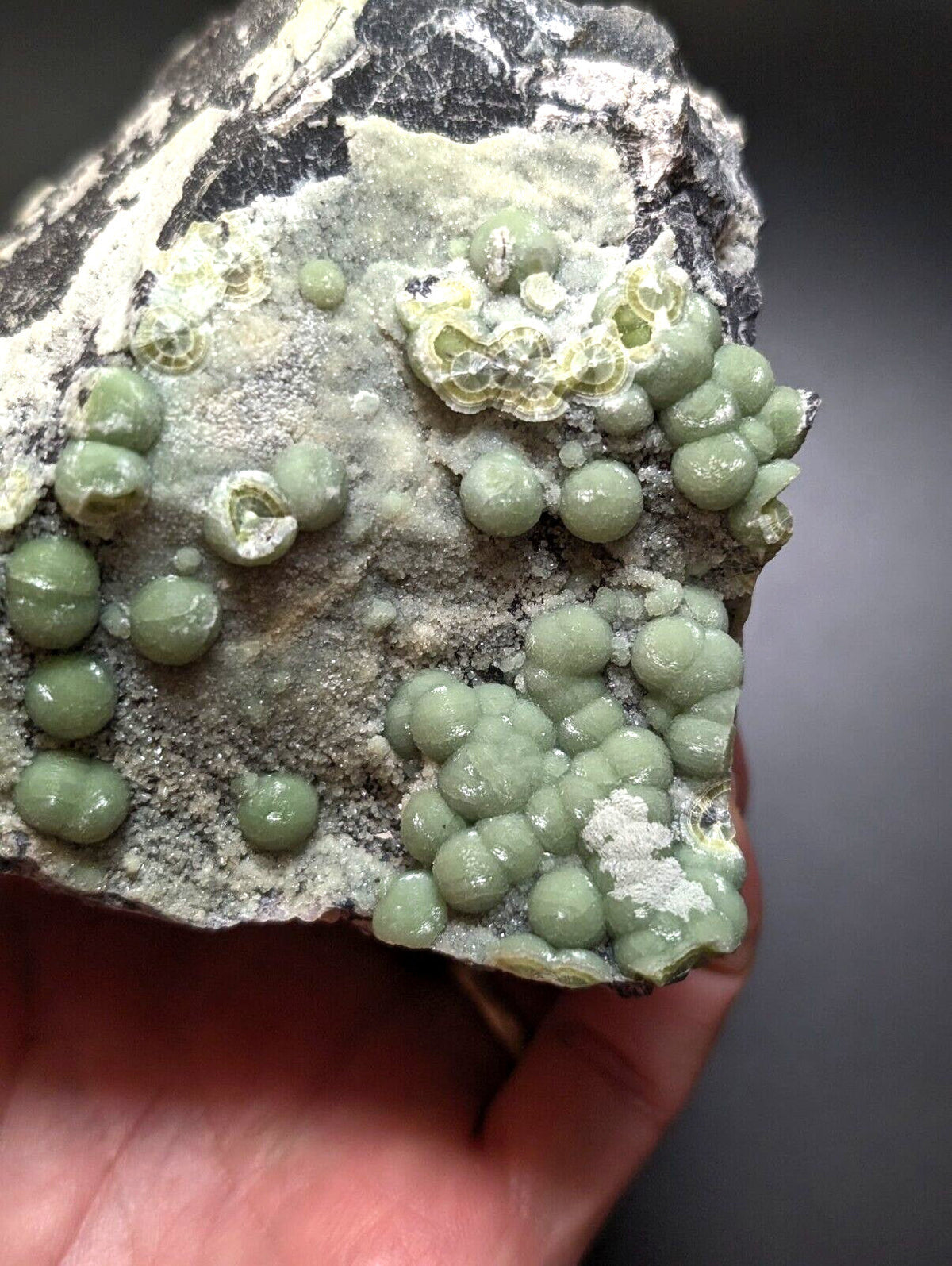 A hand holds a rough, dark gray rock specimen featuring clusters of smooth, light green spherical crystals with some exhibiting delicate honeycomb-like patterns.