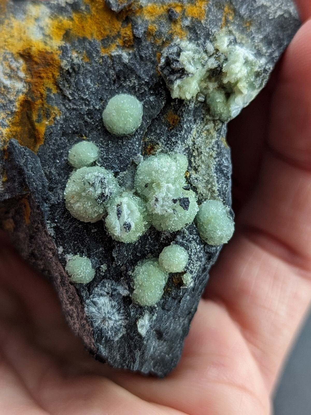 A hand holds a dark, textured rock featuring clusters of translucent green spherical crystals with white crystalline growths.